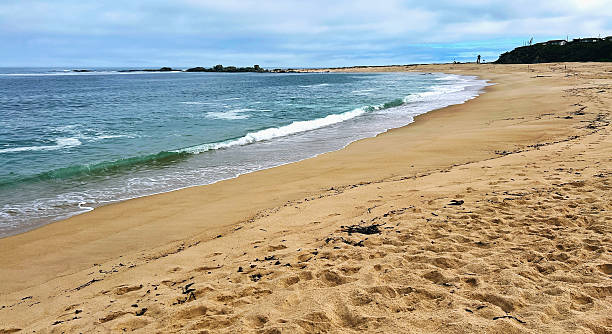 istock Beach with golden sand and crystal-clear water 2208547259