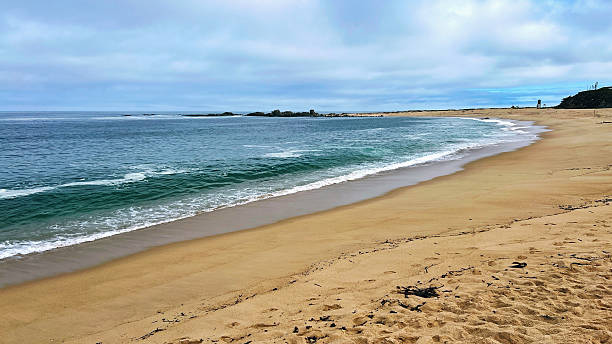 istock Beach with golden sand and crystal-clear water 2208547284