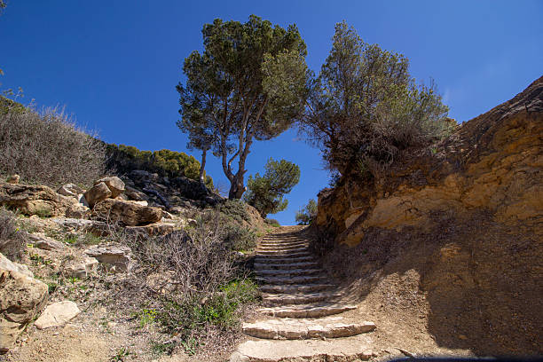 istock Stone stairs going up among trees on rocky slopes. Clear sunny day 2208550124