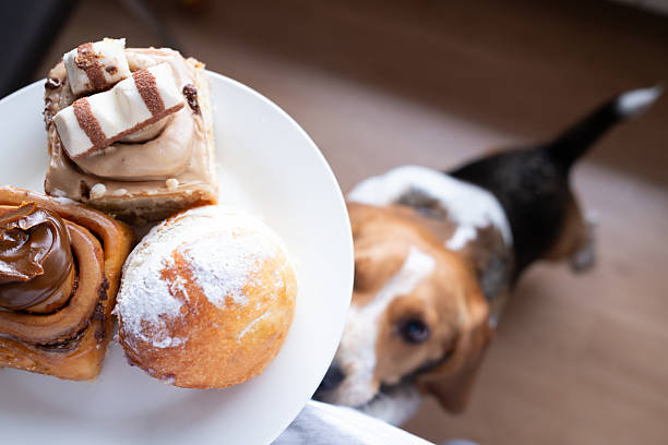 Rosca de Coco: Macia, Úmida e Irresistível! - receita deliciosa profissional - passo 2