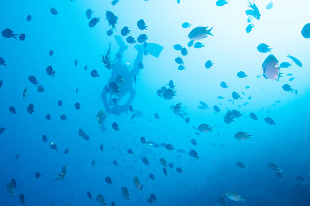 Teenager snorkeling with full-face snorkel mask in clean waters of Ligurian sea in the town of Rapallo.\nShow with Canon R5
