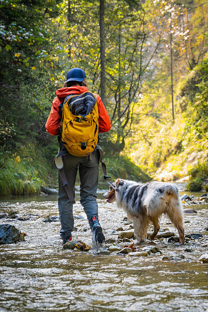 istock Adventurous Young Woman and Dog Exploring Sunlit River 2208572354
