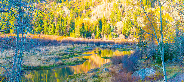 Mountain stream reflecting fall colors near Aspen, Colorado