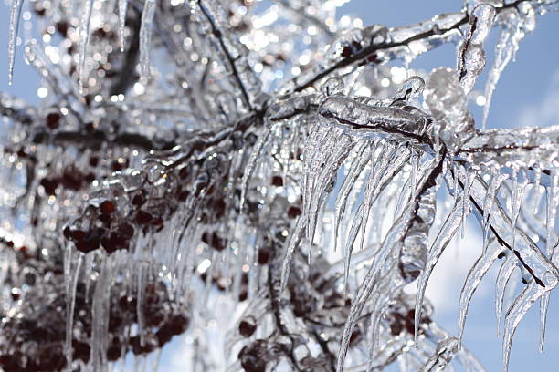 istock Beauty After the Storm 2208583804