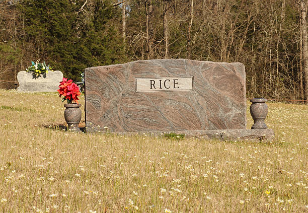 istock Rice on Headstone Death of Rice Concept 2208586132