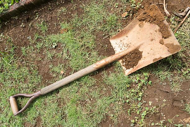 istock A shovel covered in dirt on the ground 2208588090