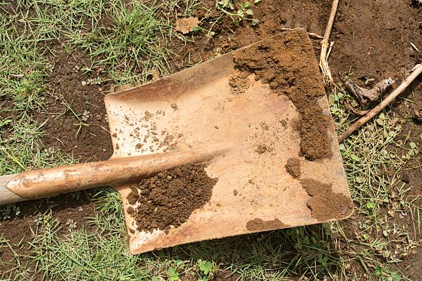 istock A shovel covered in dirt on the ground 2208588091