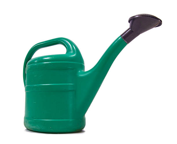 istock A large plastic green watering can, isolated on a white background 2208590735