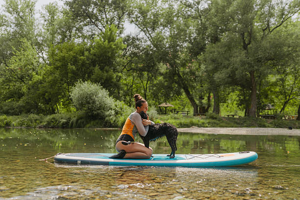 istock Paddleboarding on the river with my dog 2208600595