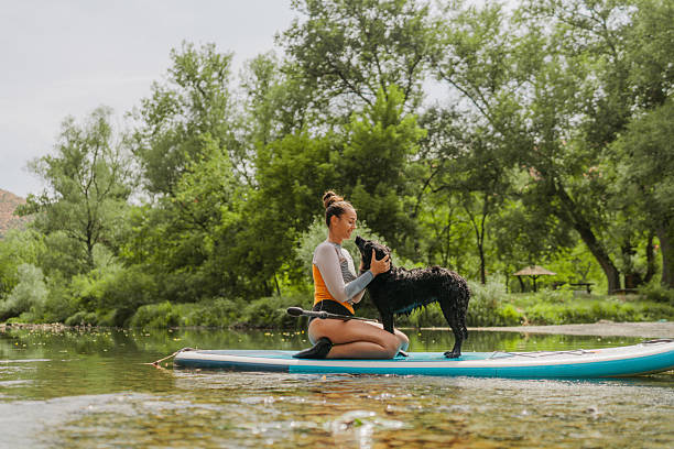 istock Paddleboarding on the river with my dog 2208600597