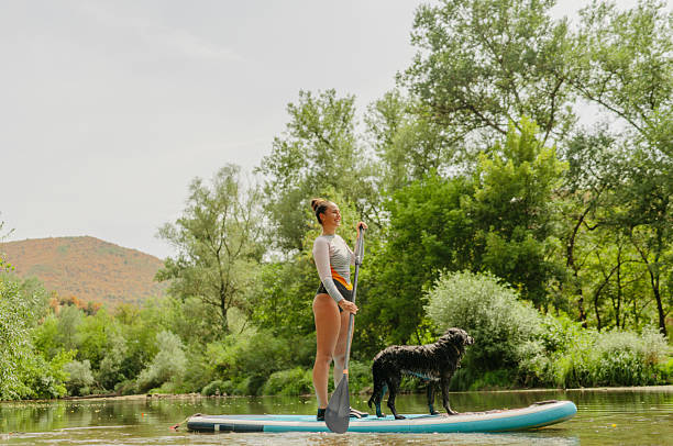 istock Paddleboarding on the river with my dog 2208600605