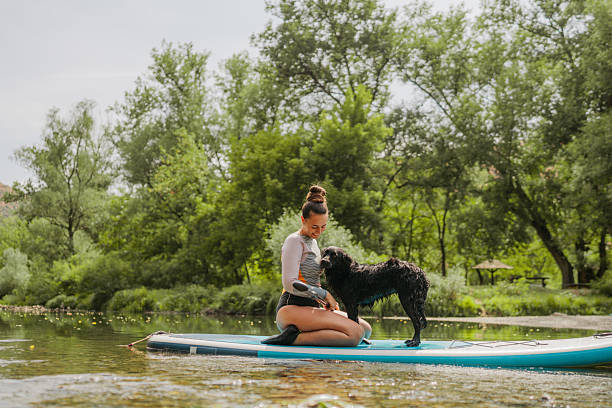 istock Paddleboarding on the river with my dog 2208600616
