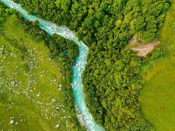 istock Mountain river with green trees and fresh green grass. Aerial top down view. 2208602024