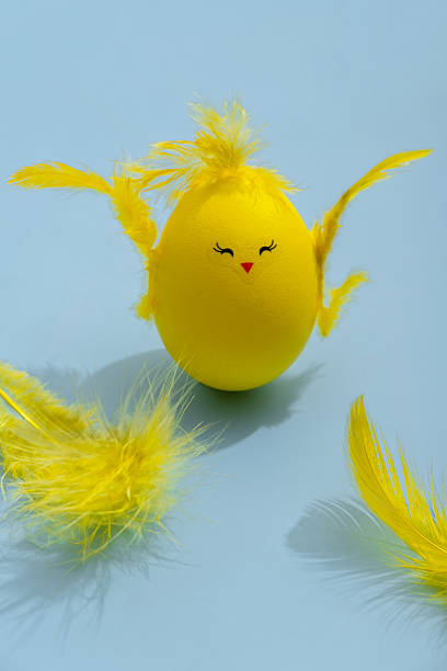 Cute yellow Easter egg in the shape of chick surrounded by feathers on a bright blue background. Easter greeting card.