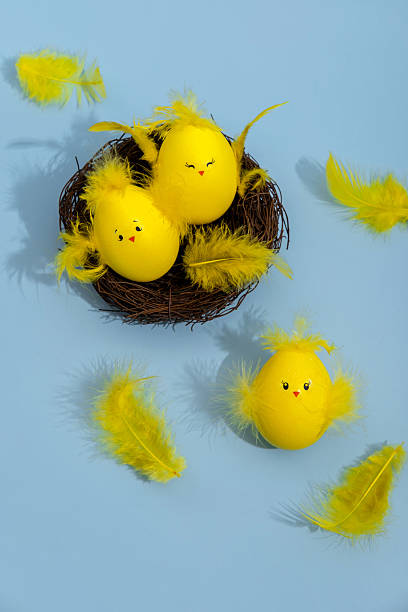 Cute yellow Easter eggs in the shape of chicks surrounded by feathers on a bright blue background. Easter greeting card.