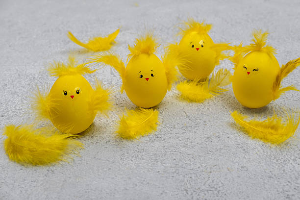 Cute yellow Easter eggs in the shape of chicks surrounded by feathers on a grey background. Easter greeting card.