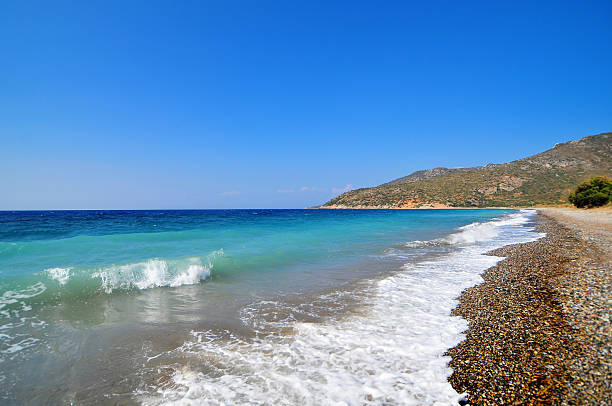 Beach and the sea
