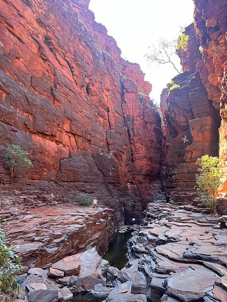 istock Grasping the scale of the gorges in Karijini 2208608380