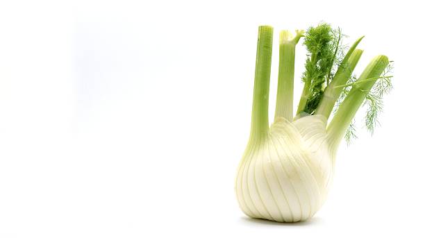 istock Fresh fennel bulb isolated on white 2208612041