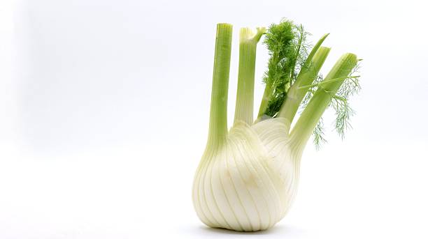 istock Fresh fennel bulb on white background 2208612042