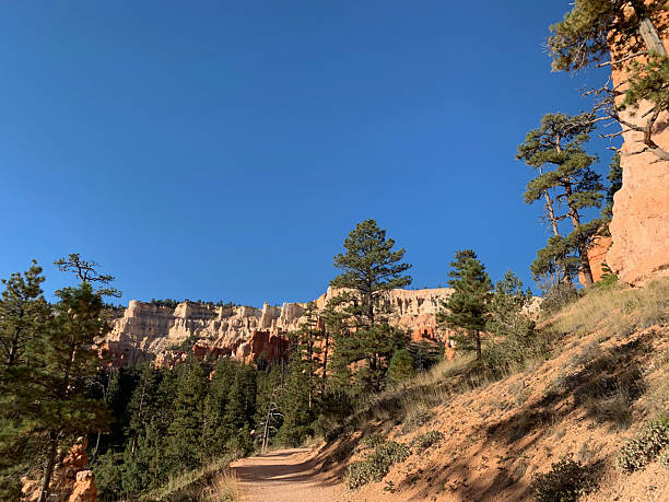 istock Hiking in the forest at Bryce Canyon 2208612769