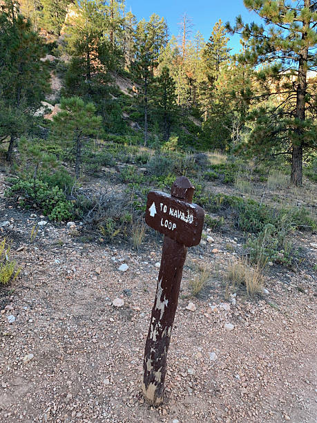 istock Sign in Bryce Canyon 2208612790