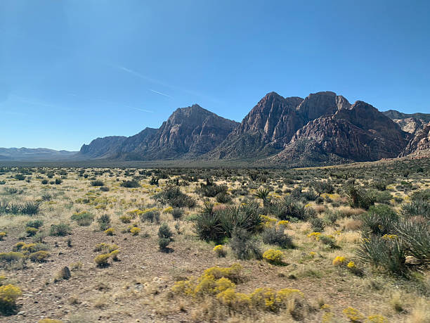 istock Landscape in Red Canyon, Nevada 2208613787
