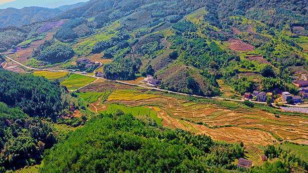 istock China's Agricultural Rice fields,China,Asia.Farmland. 2208615130