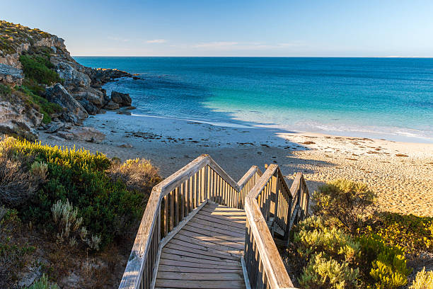 istock Dolphin Beach with boardwalk at sunset, Innes National Park, SA 2208617065
