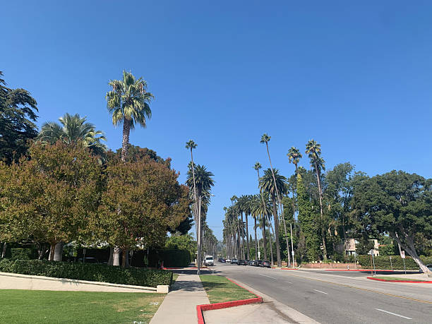 istock Street in Beverly Hills 2208618830