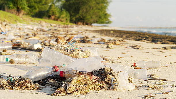istock Plastic bottles and debris scattered along a polluted beach, shoreline littered 2208620572