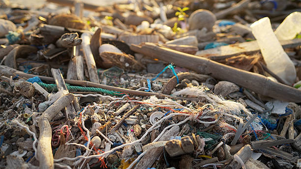 istock Environmental issue plastic garbage littering the ocean shore, polluted beach 2208620675
