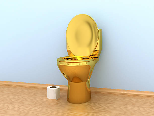 istock Golden Toilet bowl 2208625434