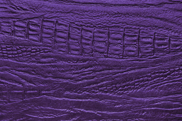 Crocodile genuine leather structure texture macro, purple colored leatherette surface with metallic, pearlescent effect. Reptile skin close up, macro background, wallpaper, backdrop