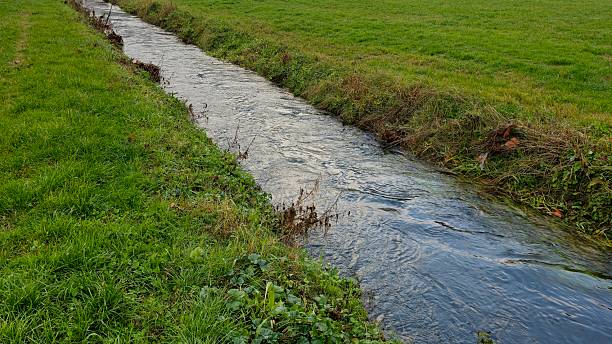 istock A narrow stream flows between grassy banks in a green field, with ripples visible on the clear water's surface under natural daylight. 2208626876