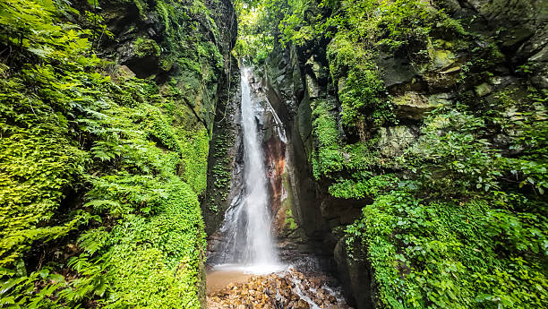 istock Kakombe Waterfall in Gombe National Park 2208632333