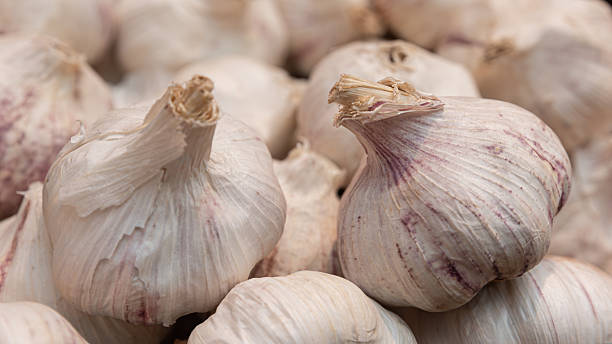 istock Garlic textures, heads in detail 2208634842