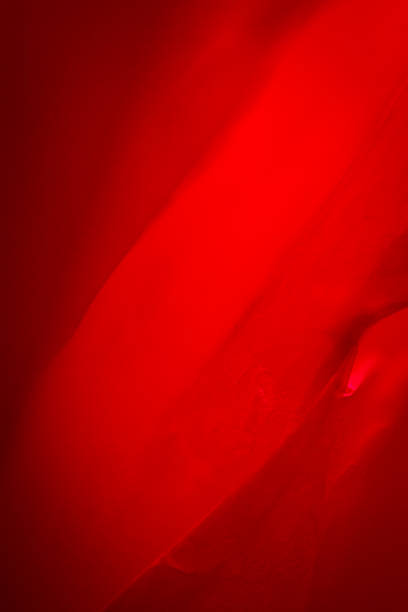 istock Extreme close up of red empty plastic bag background. 2208637316