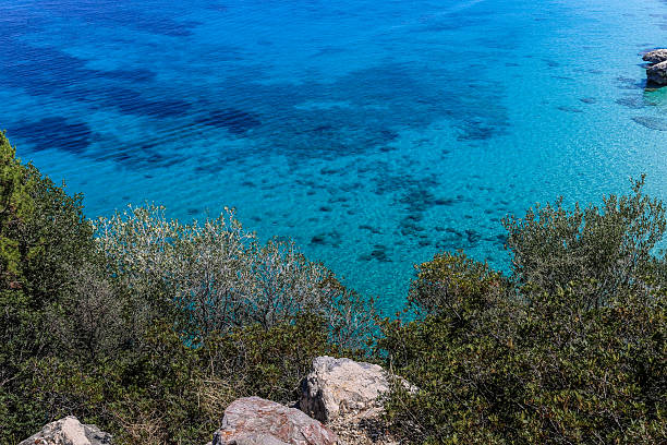 A beautiful blue ocean with a rocky shoreline. The water is calm and clear, and the trees in the foreground add a sense of serenity to the scene