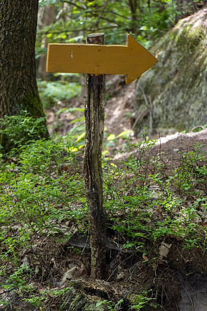 istock A wooden arrow on a stick indicates the direction of a path in a forest 2208643400