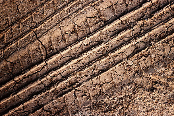 Many car tire tread marks mud background