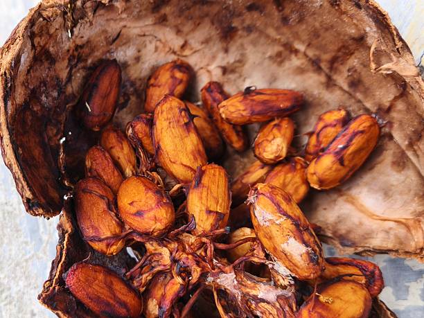 brown fruit seeds and white flesh
