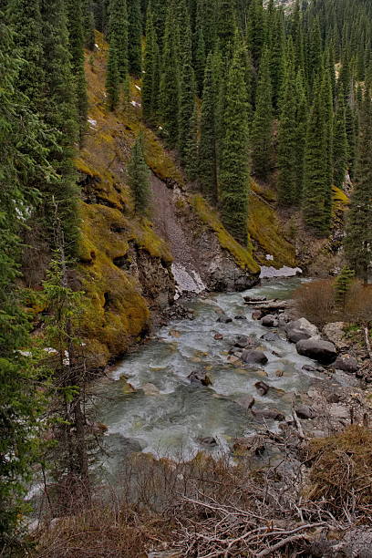 istock Among the forest and mossy rocks 2208661380