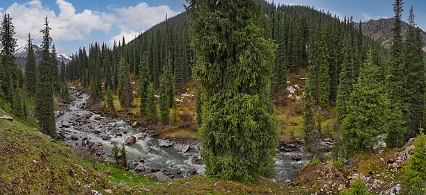 istock Among the forest and mossy rocks 2208661406