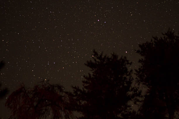 Starry Night Over Elk Lake, Michigan