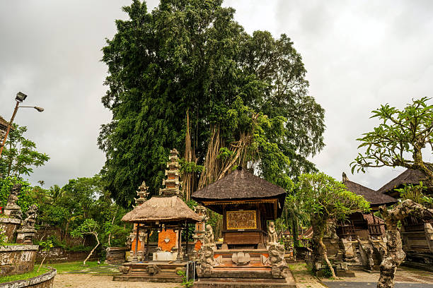 istock A serene Balinese temple surrounded by lush greenery, featuring traditional architecture, intricate statues, and a towering banyan tree. 2208668013