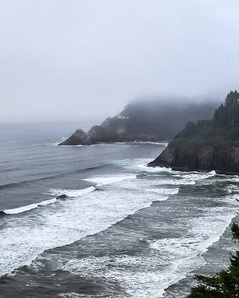 istock Oregon coast on a stormy day 2208669603