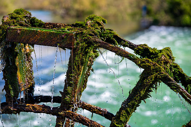 Water flowing through the French Village of Isle Sur la Sorgue France during springtime