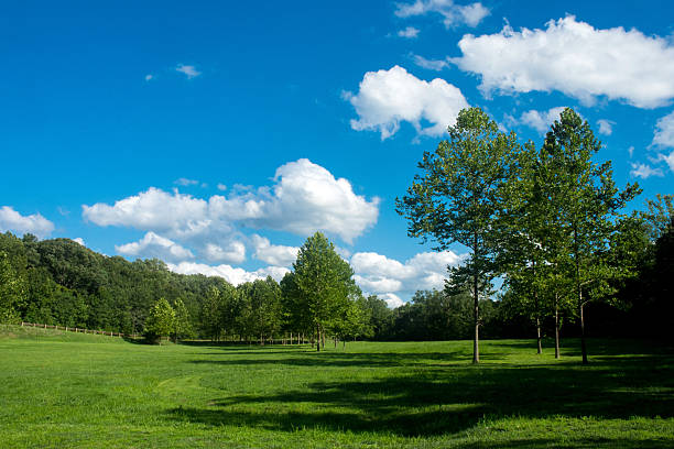 green background