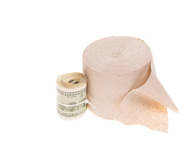 money in the toilet concept.